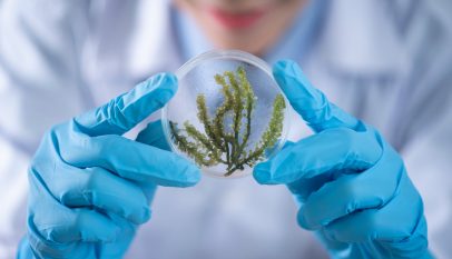 tips belajar Biologi