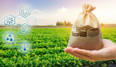 info jurusan agribisnis